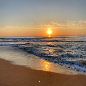 Meet your Posher, Ella